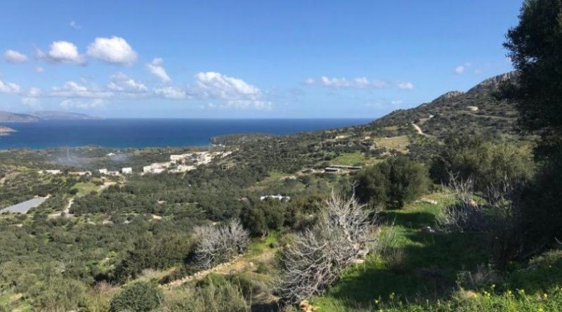 Kalo Chorio MIT VIDEO: Kreta, Kalo Chorio: Großes ländliches Baugrundstück mit Meerblick zu verkaufen Grundstück kaufen